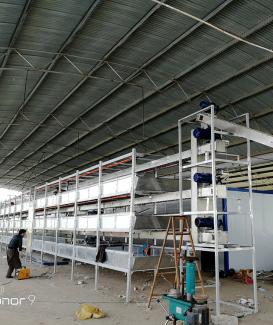 Automatic breeding frame